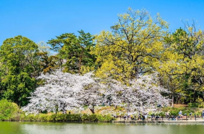 大宮公園(1996年納品)