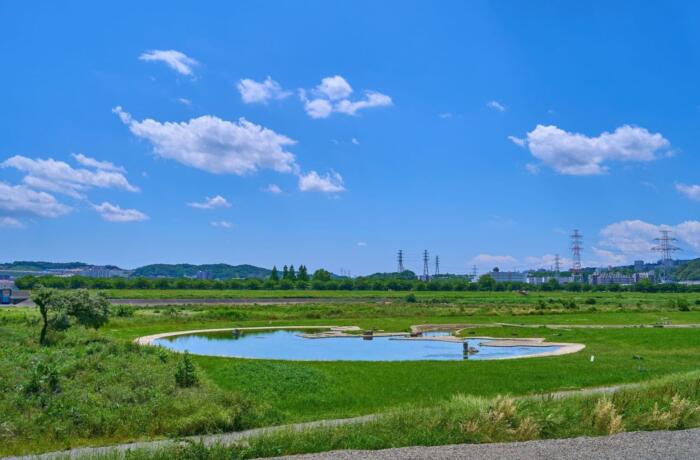 小柳緑地(2014年納品)