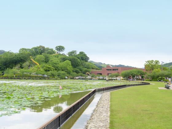 蓮華寺公園(2016年納品)