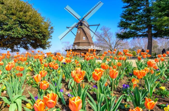 ふなばしアンデルセン公園(2017年納品)