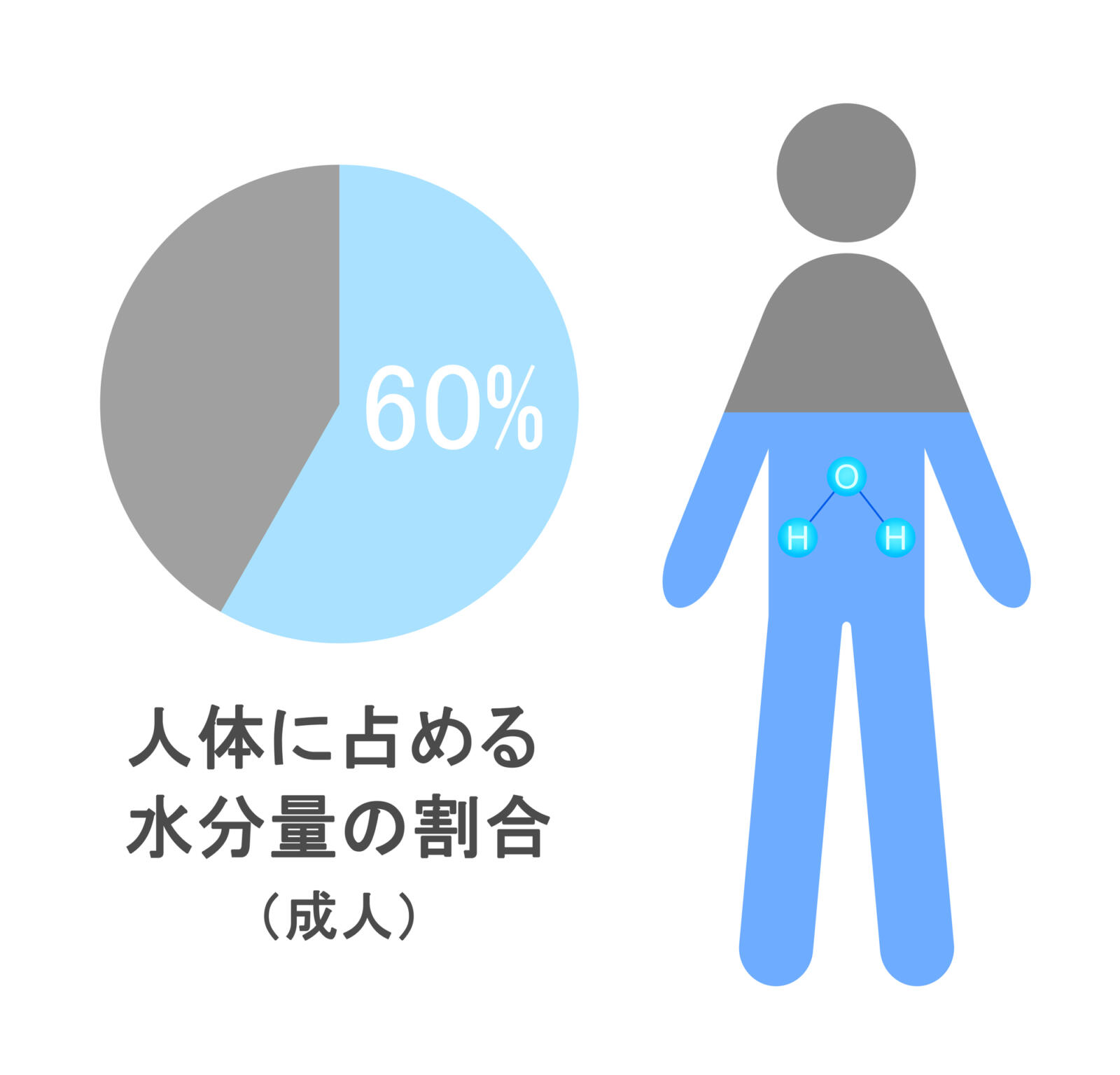 体内 の 水分 が 不足 すると