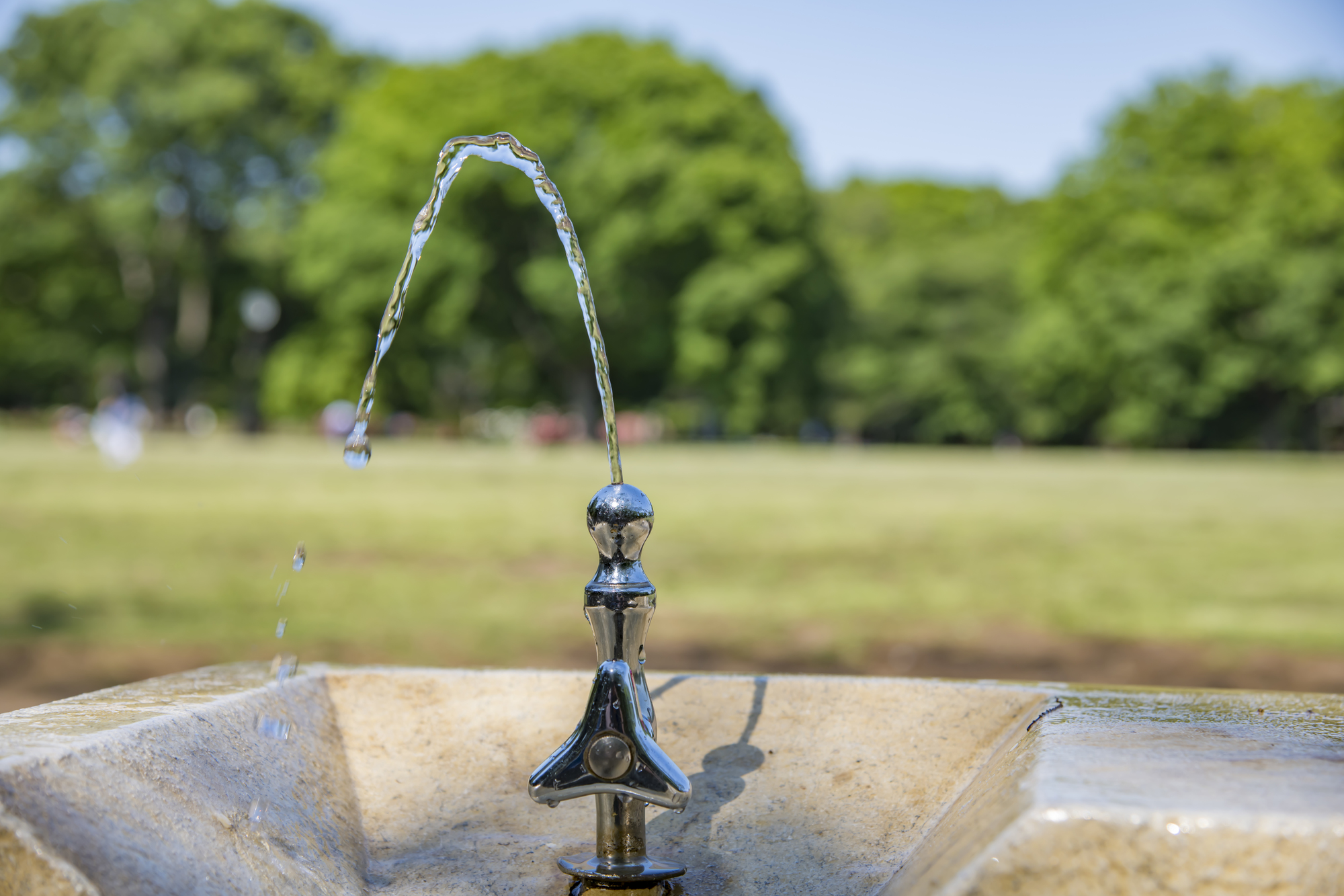 水道 水 飲める 国