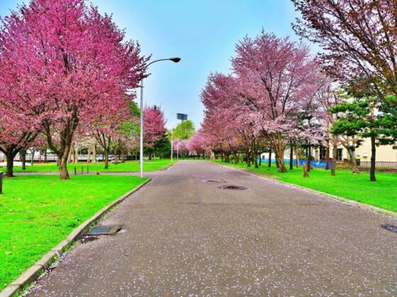 旭川市花咲スポーツ公園（2024年納品)