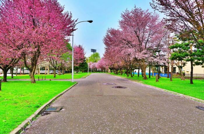 旭川市花咲スポーツ公園（2024年納品）