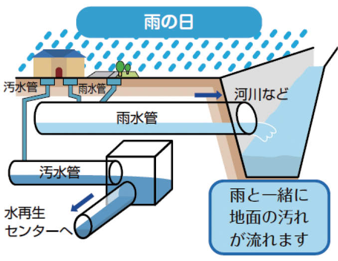 セーヌ 川 汚い なぜ