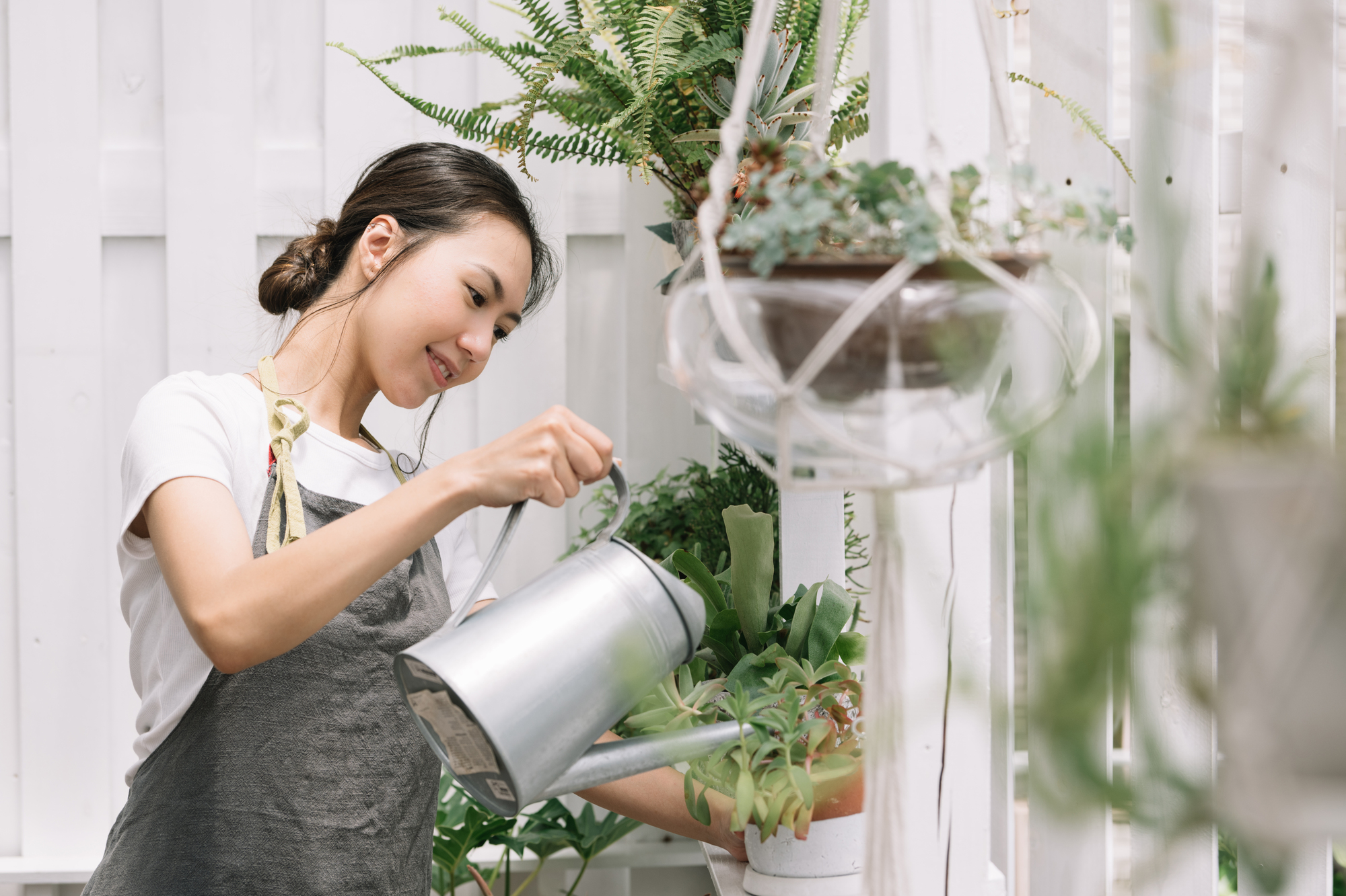 植物 水 やり 時間