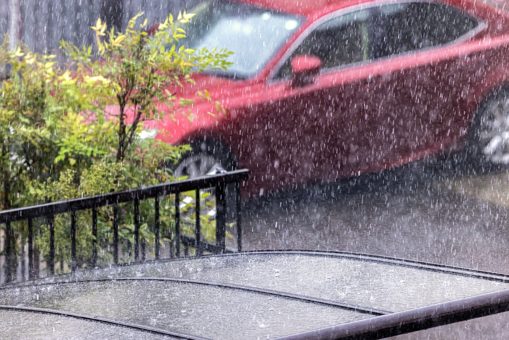 今年 の 梅雨 の 特徴