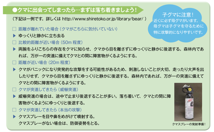 熊　事件