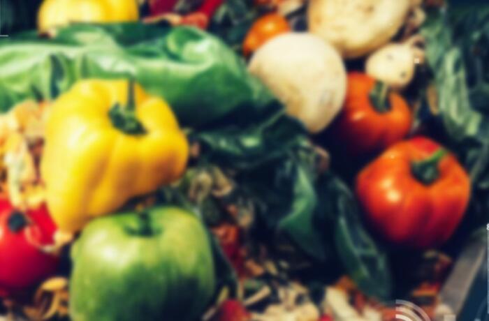 食品ロスとは？定義や現状、原因のほか、対策についても紹介
