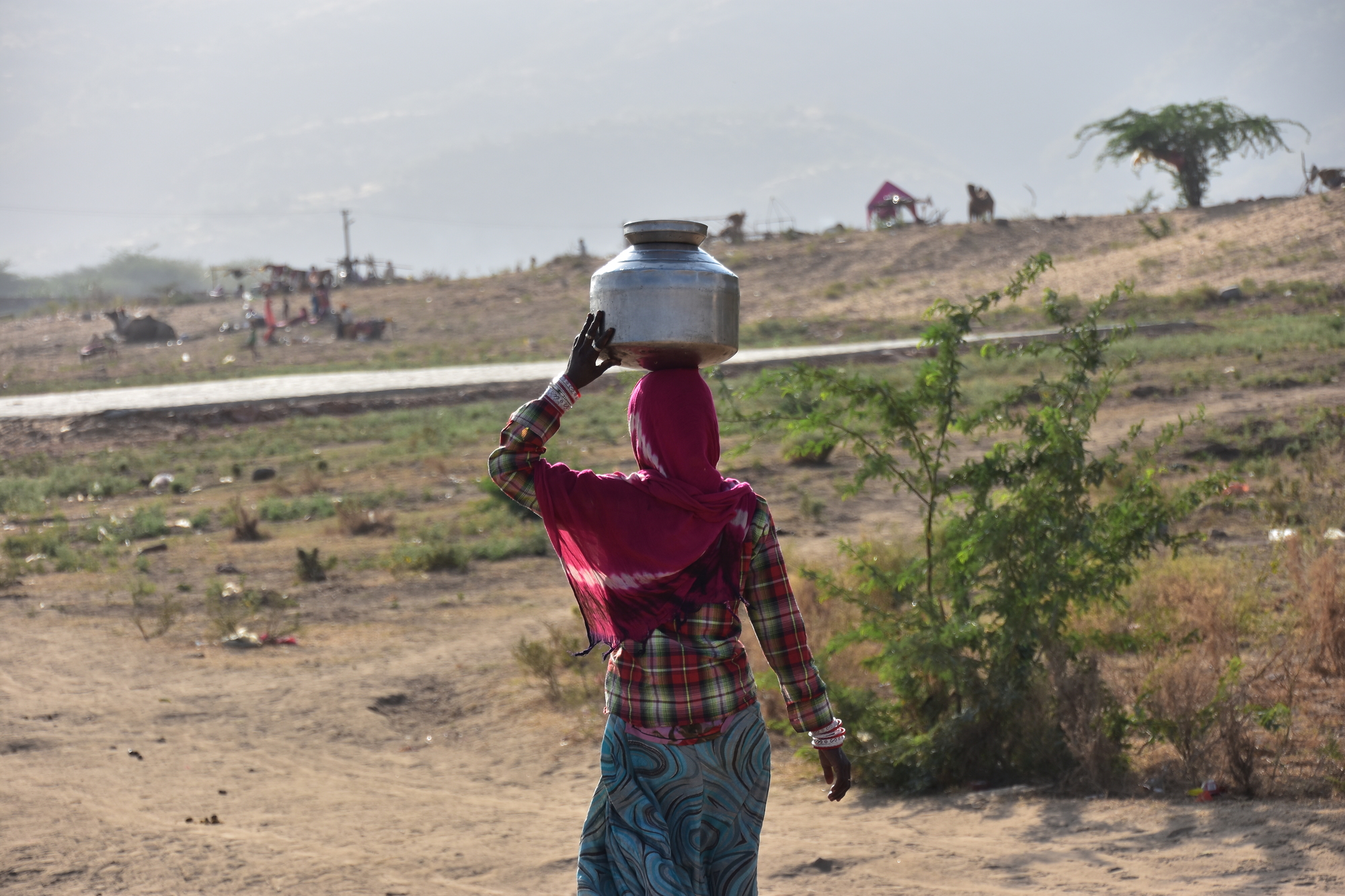 インド　水　問題