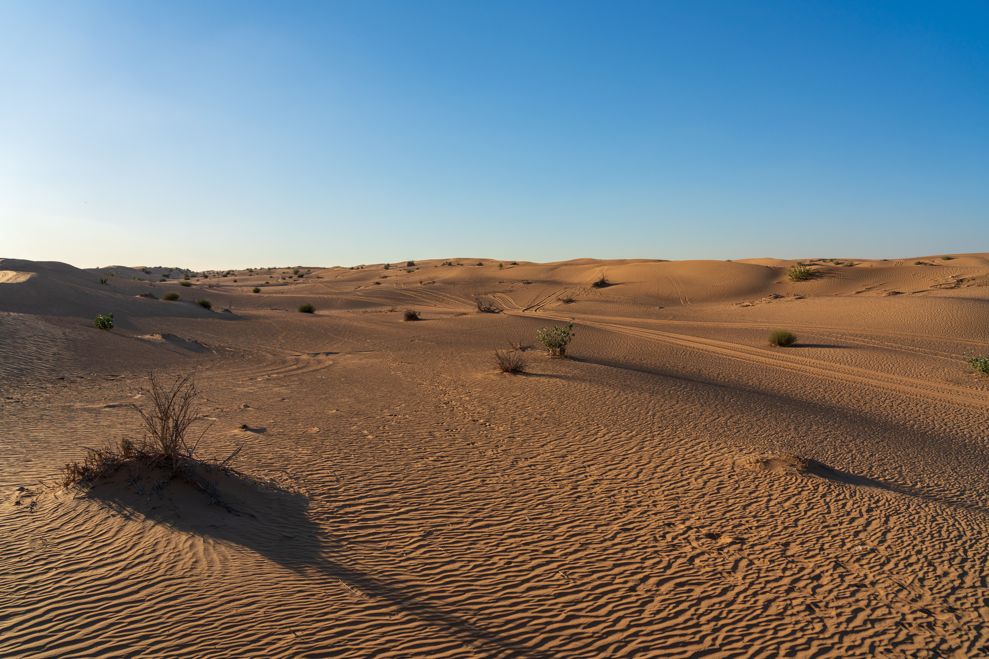 イラン　水不足