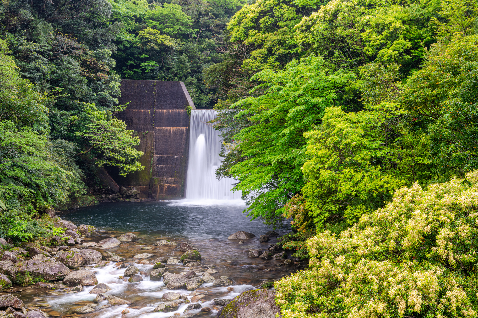 日本の水資源
