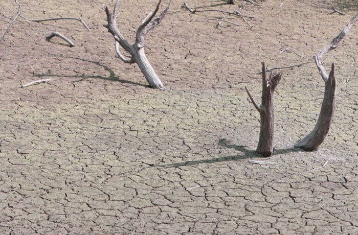水破産とは?意味や原因、世界と日本への影響、対策